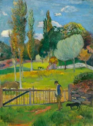 Landschaft